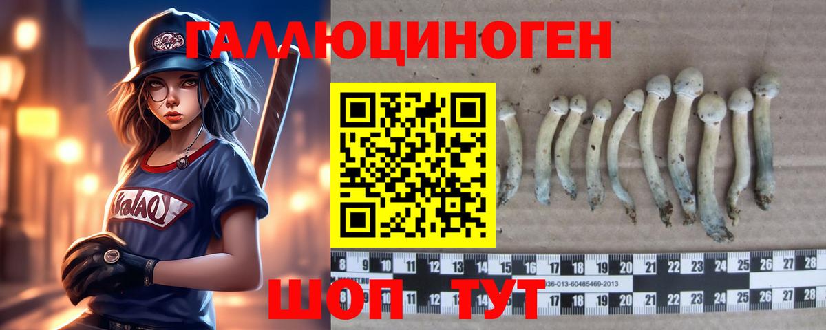 Печора  Галлюциногенные грибы MAGIC MUSHROOMS  Галлюциногенные грибы Cubensis  Вход с VPN 